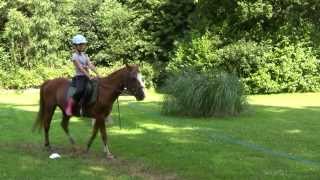 Colonie de vacances Lécurie fantastique  équitation et activités de la ferme [upl. by Nyrmac]