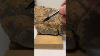 Rock of the Week 33 Unidirectional Solidification Textures USTs shorts [upl. by Reiche]