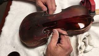 Stainer Violin  First violin rebuild Jacobus Stainer copy 5 staining yes staining [upl. by Lenahc]