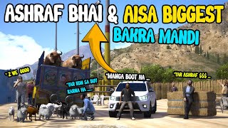 Ashraf Bhai amp Bakra Mandi Shahid amp Naveed Bhai  Pakistani MOdes ep36 [upl. by Lemor647]