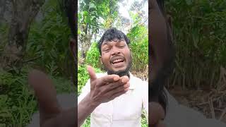 Aam kahtir milwa rayman babu new santhali sohrai short video [upl. by Neelyhtak]