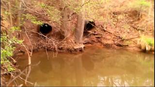 Building a Dam On a Wet Weather Creek [upl. by Anilet]