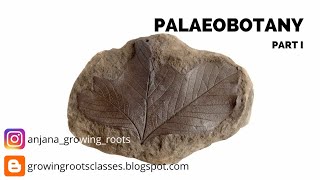 PALAEOBOTANY  Introduction to fossil study  Theory of fossil formation  Types of fossils [upl. by Nohj542]