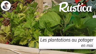 Les plantation au potager en mai [upl. by Assetan]