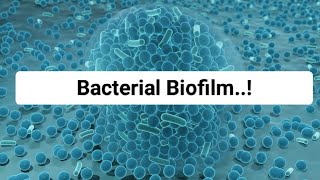 Bacterial Biofilm [upl. by Erdnaxela]