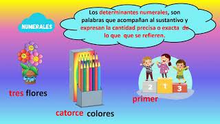 Los determinantes numerales definidos e indefinidos [upl. by Rafaela520]