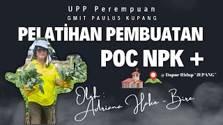 Pelatihan Pembuatan POC NPK Plus bagi UPP Perempuan JEPANG di Dapur Hidup GMIT Paulus Kupang [upl. by Shelli]