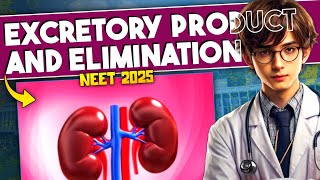 Excretory Products and Eliminations ONE SHOT Revision  Human Physiology ONE SHOT  NEET Biology [upl. by Phail914]