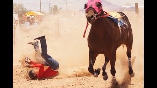 Carreras de Caballos en Empalme Carril El Piggy Back 19 de Junio 2016 [upl. by Pat]