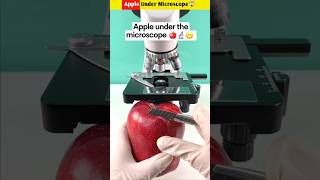 Apple Under Microscope😱 shorts youtubeshorts shortvideos [upl. by Norrej]