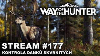 Záznam  Way of the Hunter  Kontrola daňků skvrnitých  177  CZSK [upl. by Anaidiriv]