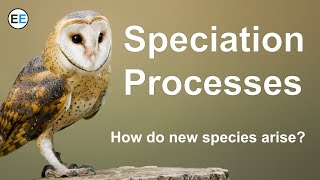 Speciation Processes  How do new species arise [upl. by Adnaluoy]