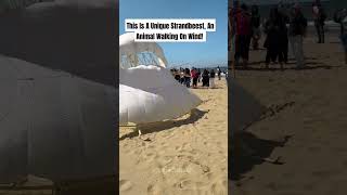 Strandbeest wonderful sculpture sculpture sciencefacts facts sculpting physics [upl. by Donnell]