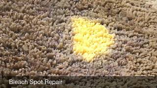 How to Fix Bleach Stain on Carpet  Using the DyeBold Dyes wwwdyeboldcarpetdyeingcom [upl. by Errised]