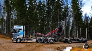 Logging pulpwood in unknown forest [upl. by Nealson]