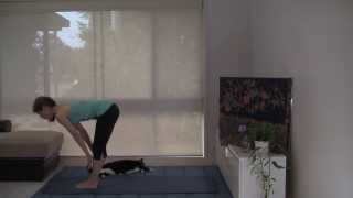 Gentle Hatha Yoga Flow  Release Upper Back and Shoulders 45 min full class [upl. by Ayad]