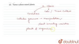 Somaclonal variation appears in plants [upl. by Gerri183]