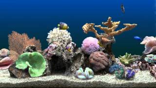 Marine Aquarium Virtual Fishtank [upl. by Dirk]