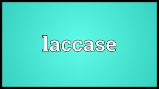 Laccase Meaning [upl. by Aileek594]