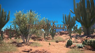 FFXIV Tender Valley Dungeon Run No commentary First Blind Run [upl. by Saffian]