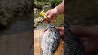 Cooking and steaming fish with ice is simple and delicious outdoorcooking food viralvideo fish [upl. by Siwel]