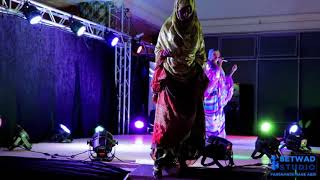 Qaali Ladan Hees Cusub 2019 Somali Night Event  Music Video [upl. by Gemmell753]