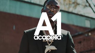 Young Dolph feat Key Glock  Major Acapella  Vocals Only 147bpm [upl. by Atterys]