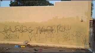 Lueders Park Piru Gang Related Homicide in Willowbrook [upl. by Su]