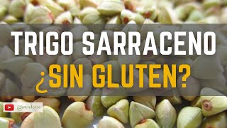 ✅ TRIGO SARRACENO ¿Qué es ¿Tiene gluten Propiedades y BENEFICIOS [upl. by Aksel]