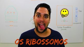 O RIBOSSOMO [upl. by Andaira]