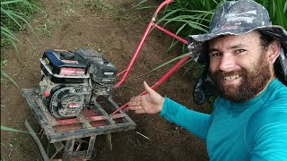 cultivando o capiaçu com cultivador tratorito motor estacionario 7hp caseiro [upl. by Bohun]