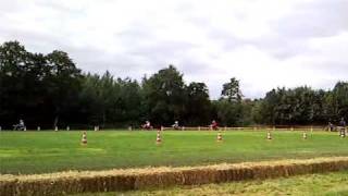 Hegu Kreidler Cross  Demo 50cc race in Tolbert [upl. by Suinotna]