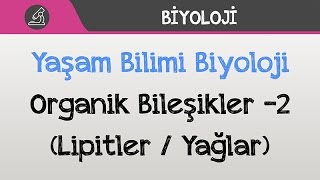 Yaşam Bilimi Biyoloji  Organik Bileşikler 2 Lipitler  Yağlar [upl. by Nylrahs876]