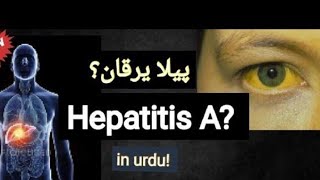 HEPATITIS A [upl. by Casimire]