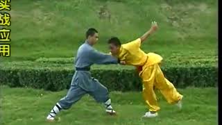 Kung Fu lianhuan fight techniques [upl. by Eiknarf246]