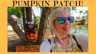 Pumpkin Patch Festival Tractor Ride Hay Maze at Pintos Farm Miami Halloween Things To Do 2018 [upl. by Senskell]