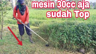 NI MEMANG DIAR MESIN RUMPUT 30CC [upl. by Olim]