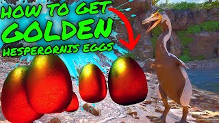 The BEST WAY to GET GOLDEN HESPERORNIS EGGS in Ark Survival Ascended [upl. by Narmi]