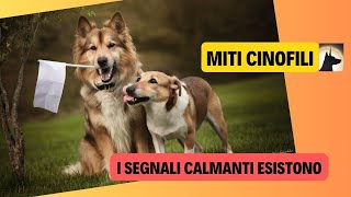 I segnali calmanti nel cane [upl. by Olrak689]