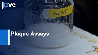 Plaque Assays for Viral Concentration Determination by Overlay Systems  Protocol Preview [upl. by Asihtal782]