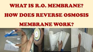 Reverse Osmosis RO membrane what is inside RO  Working of RO Membrane  Demonstration of RO [upl. by Buatti]