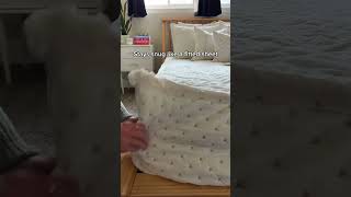 This Will Make Your Bed Making So Much Easier Beddys Zipper Bedding shorts beddys [upl. by Itsim590]