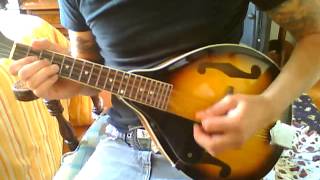 Rose Tattoo  Dropkick Murphys mandolin cover [upl. by Diva]