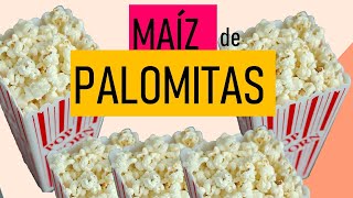 MAÍZ DE PALOMITAS [upl. by Najib856]