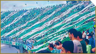 TORCIDA DO PALMEIRAS NA FINAL DA LIBERTADORES 2021 [upl. by Franciskus713]