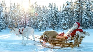 Babbo Natale 🦌🎅 I segreti delle renne di Santa Claus in Lapponia Finlandia Rovaniemi [upl. by Ttekcirc629]