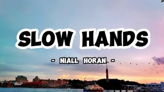 SLOW HANDS  NIALL HORAN Lyrics [upl. by Tade]