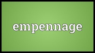 Empennage Meaning [upl. by Anaid468]