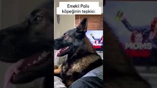 Emekli köpek 🐶🐶 [upl. by Sevein]