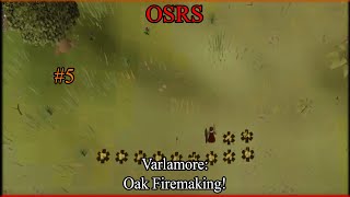 OSRS Varlamore Oak Firemaking 5 [upl. by Aidne]